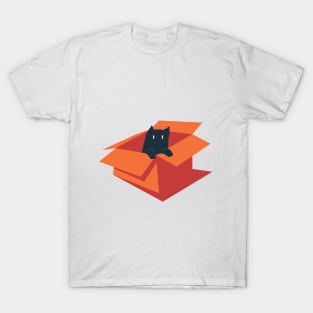 cat in box T-Shirt